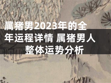 属猪男2023年的全年运程详情 属猪男人整体运势分析