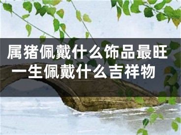 属猪佩戴什么饰品最旺 一生佩戴什么吉祥物