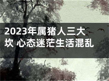 2023年属猪人三大坎 心态迷茫生活混乱