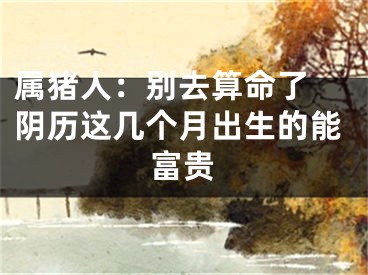 属猪人：别去算命了 阴历这几个月出生的能富贵