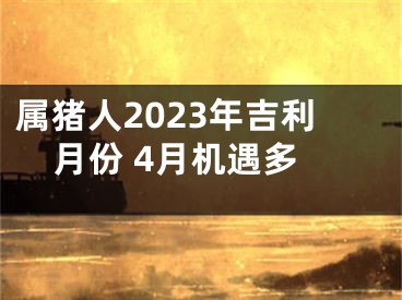 属猪人2023年吉利月份 4月机遇多