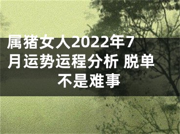 属猪女人2022年7月运势运程分析 脱单不是难事