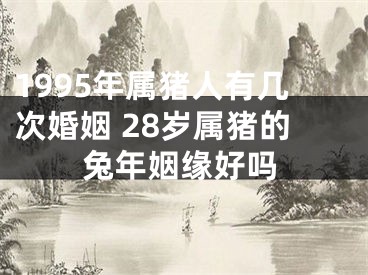 1995年属猪人有几次婚姻 28岁属猪的兔年姻缘好吗