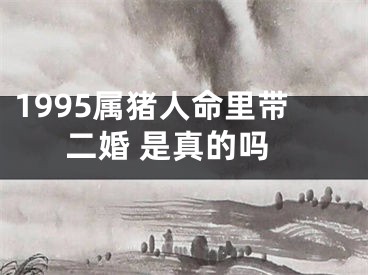 1995属猪人命里带二婚 是真的吗