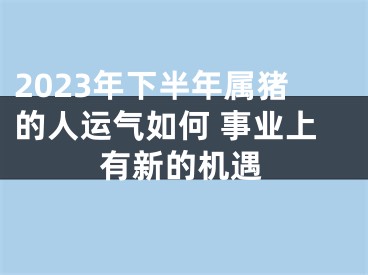 2023年下半年属猪的人运气如何 事业上有新的机遇