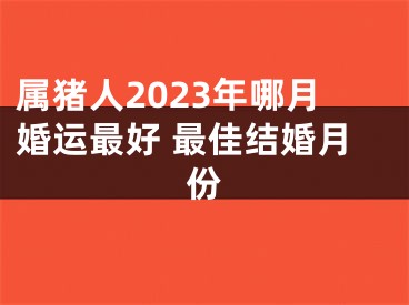 属猪人2023年哪月婚运最好 最佳结婚月份