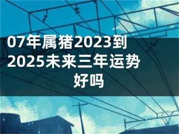 07年属猪2023到2025未来三年运势好吗
