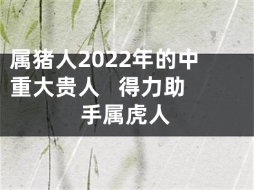 属猪人2022年的中重大贵人   得力助手属虎人