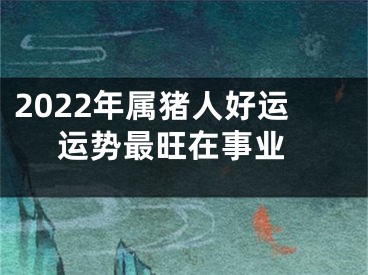 2022年属猪人好运 运势最旺在事业