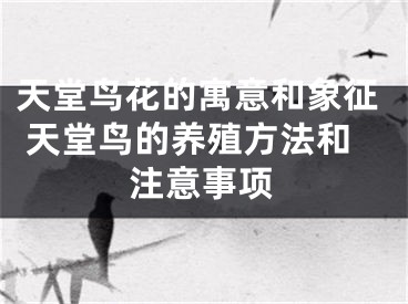 天堂鸟花的寓意和象征 天堂鸟的养殖方法和注意事项