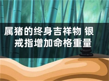 属猪的终身吉祥物 银戒指增加命格重量