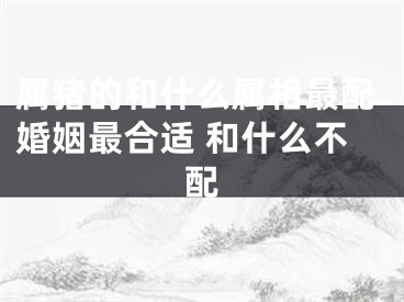 属猪的和什么属相最配婚姻最合适 和什么不配