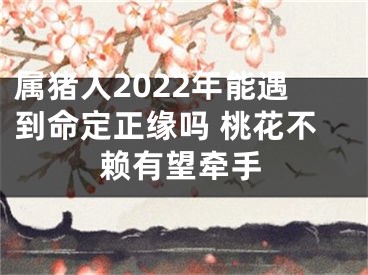 属猪人2022年能遇到命定正缘吗 桃花不赖有望牵手