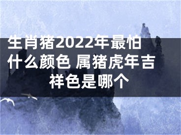 生肖猪2022年最怕什么颜色 属猪虎年吉祥色是哪个