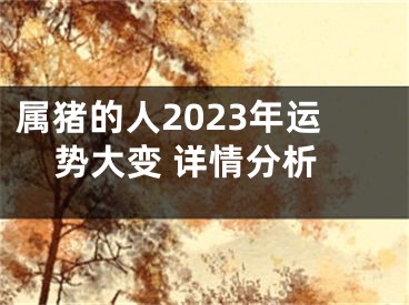 属猪的人2023年运势大变 详情分析