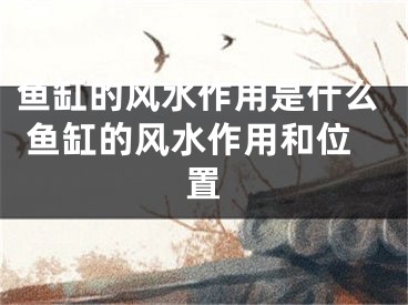 鱼缸的风水作用是什么 鱼缸的风水作用和位置