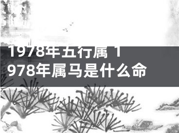 1978年五行属 1978年属马是什么命