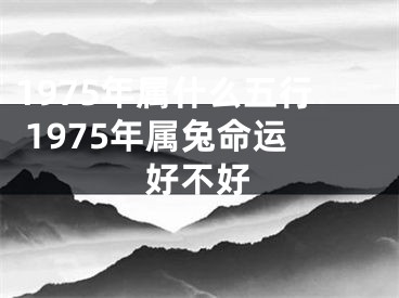 1975年属什么五行 1975年属兔命运好不好