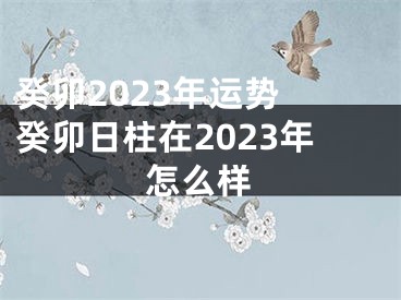 癸卯2023年运势 癸卯日柱在2023年怎么样