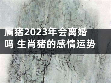 属猪2023年会离婚吗 生肖猪的感情运势