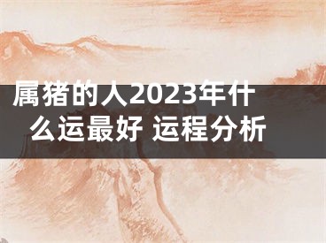 属猪的人2023年什么运最好 运程分析