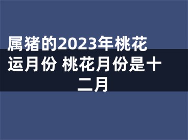 属猪的2023年桃花运月份 桃花月份是十二月