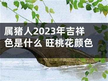 属猪人2023年吉祥色是什么 旺桃花颜色