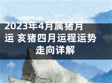 2023年4月属猪月运 亥猪四月运程运势走向详解