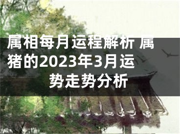 属相每月运程解析 属猪的2023年3月运势走势分析