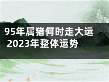 95年属猪何时走大运 2023年整体运势