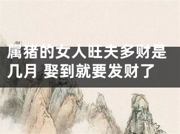 属猪的女人旺夫多财是几月 娶到就要发财了