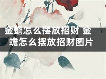金蟾怎么摆放招财 金蟾怎么摆放招财图片