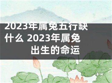 2023年属兔五行缺什么 2023年属兔出生的命运