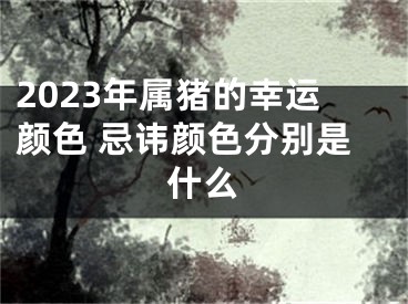 2023年属猪的幸运颜色 忌讳颜色分别是什么