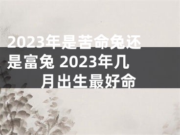 2023年是苦命兔还是富兔 2023年几月出生最好命