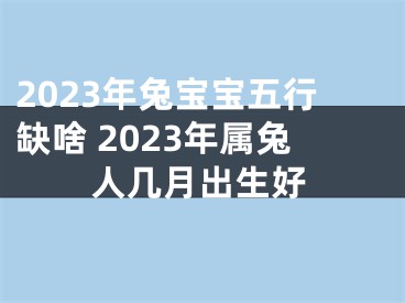 2023年兔宝宝五行缺啥 2023年属兔人几月出生好