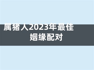 属猪人2023年最佳姻缘配对