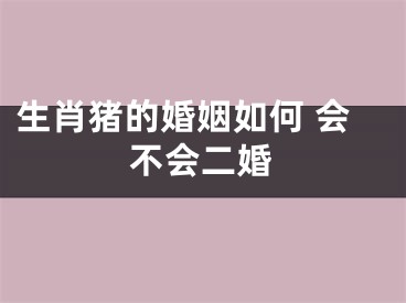 生肖猪的婚姻如何 会不会二婚
