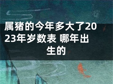 属猪的今年多大了2023年岁数表 哪年出生的
