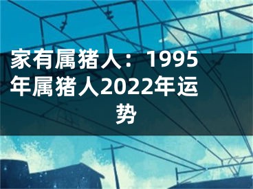 家有属猪人：1995年属猪人2022年运势