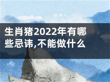 生肖猪2022年有哪些忌讳,不能做什么 