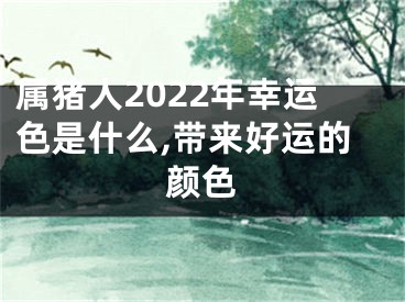 属猪人2022年幸运色是什么,带来好运的颜色