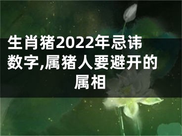 生肖猪2022年忌讳数字,属猪人要避开的属相