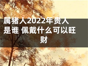 属猪人2022年贵人是谁 佩戴什么可以旺财