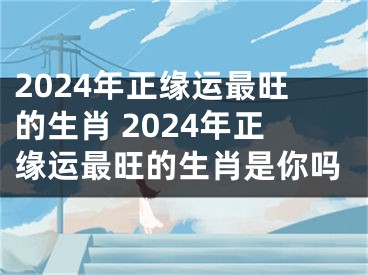 2024年正缘运最旺的生肖 2024年正缘运最旺的生肖是你吗