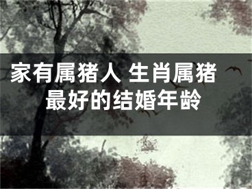 家有属猪人 生肖属猪最好的结婚年龄