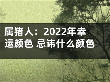 属猪人：2022年幸运颜色 忌讳什么颜色