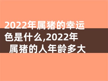 2022年属猪的幸运色是什么,2022年属猪的人年龄多大 