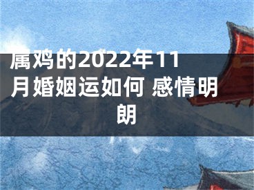 属鸡的2022年11月婚姻运如何 感情明朗