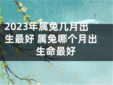 2023年属兔几月出生最好 属兔哪个月出生命最好